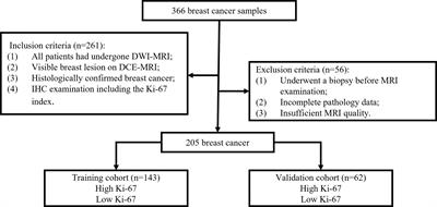 Radiomics of dynamic contrast-enhanced magnetic resonance imaging parametric maps and apparent diffusion coefficient maps to predict Ki-67 status in breast cancer